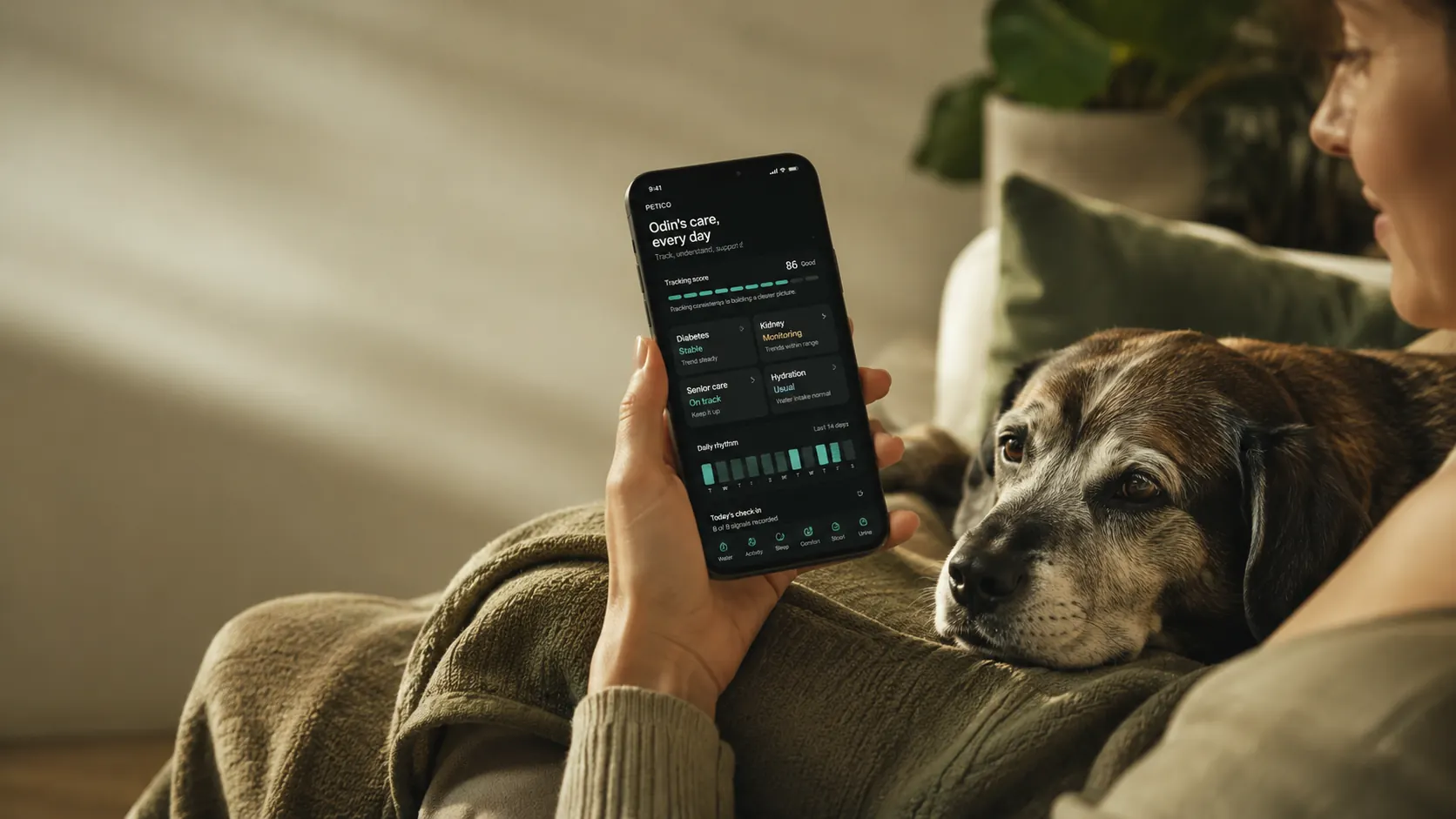 A woman on a sofa in afternoon light holding a phone showing PETICO, with a grey-muzzled senior dog asleep against her legs.